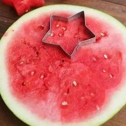 兔子吃瓜不吐籽,揭秘神奇生物的独特习性