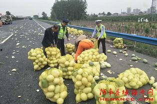 霍州吃瓜群众,吃瓜群众的欢乐时光