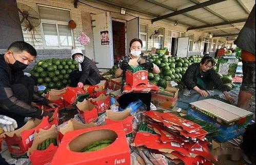 霍州吃瓜群众,吃瓜群众的欢乐时光