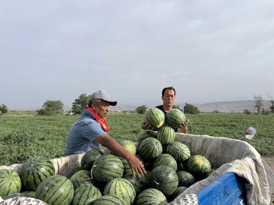 保定吃瓜事件是什么,一场网络热议背后的真相与反思
