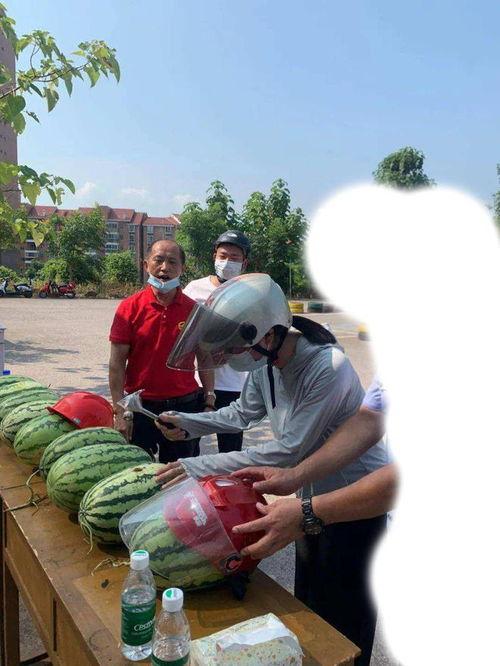 保定吃瓜事件是什么,一场网络热议背后的真相与反思