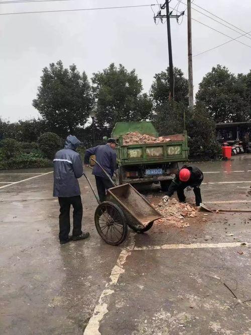 曹娥街道吃瓜,吃瓜群众的热闹日常
