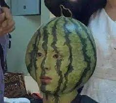 澳洲留学圈吃瓜,揭秘留学生活中的“吃瓜”趣事