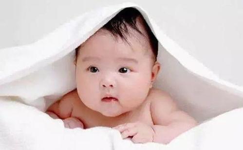 顿顿宝宝吃瓜,揭秘娱乐圈的甜蜜与苦涩