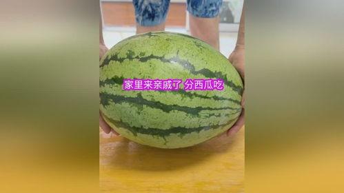 吃瓜吃到家里,揭秘“吃瓜吃到家里”的疯狂世界