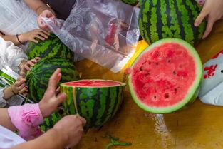 吃瓜裂开的视频,揭秘吃瓜裂开背后的神奇瞬间