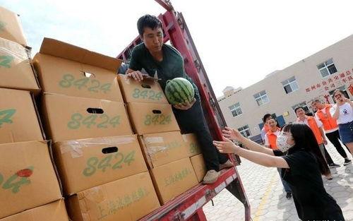 公交司机吃瓜视频,吃瓜视频引发网友热议