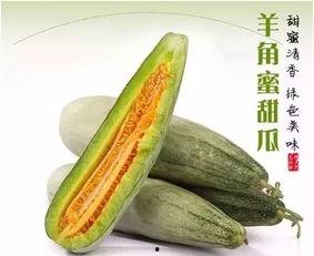 吃瓜只吃尖,探寻美食背后的独特魅力