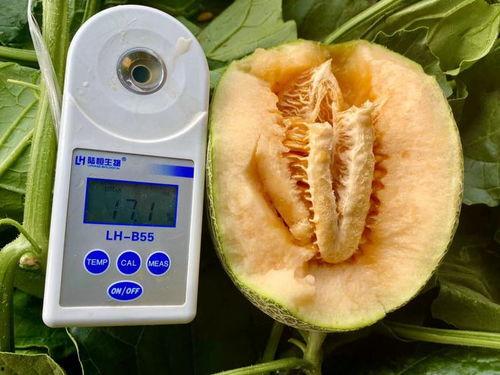 最近吃瓜系列大全,揭秘娱乐圈最新热点事件大盘点