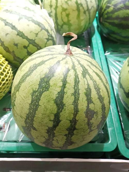 大瓜什么时候吃,大瓜的最佳食用时机揭秘