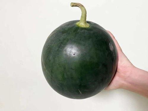 大瓜什么时候吃,大瓜的最佳食用时机揭秘