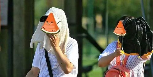 吃瓜就是力量,揭秘网络舆论的惊人影响力