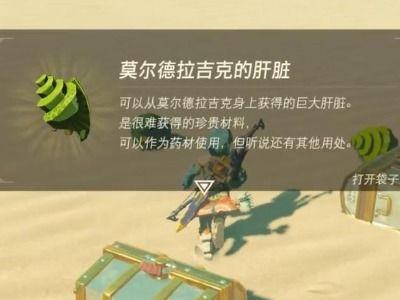 塞尔达 吃瓜少年,吃瓜少年带你领略奇幻冒险世界