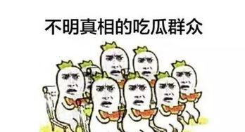 吃瓜群众2图片大全,趣味横生的图片集锦