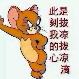 吃瓜群众2图片大全,趣味横生的图片集锦