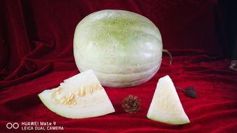 怎样吃白瓜,这样吃最健康