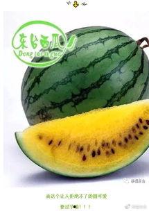 博乐吃瓜大军集合,揭秘网络热议背后的故事