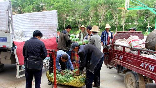 泗门镇吃瓜,夏日炎炎，吃瓜群众欢乐多