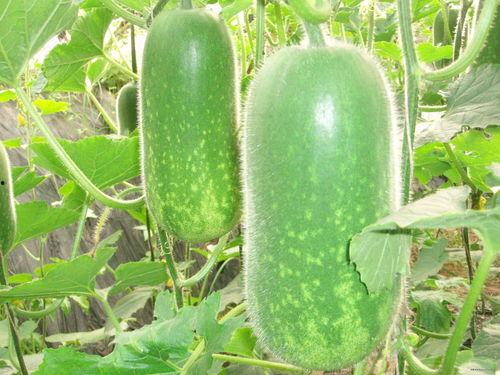 22年吃瓜现状,盘点娱乐圈那些事儿