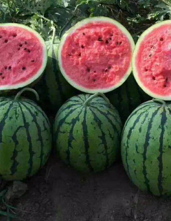 22年吃瓜现状,盘点娱乐圈那些事儿