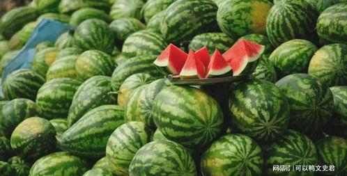 吃瓜收益,揭秘娱乐圈幕后真相与惊人内幕