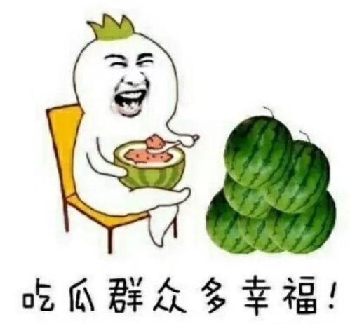 快乐屋吃瓜群,揭秘网络社交圈的欢乐与争议