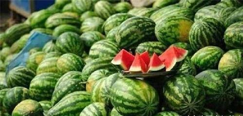 快乐屋吃瓜群,揭秘网络社交圈的欢乐与争议