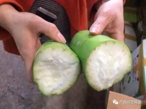 蓝青小学吃瓜,揭秘校园里的甜蜜诱惑