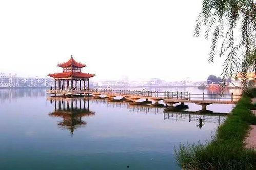 曹县南湖吃瓜,夏日里的“吃瓜”盛宴