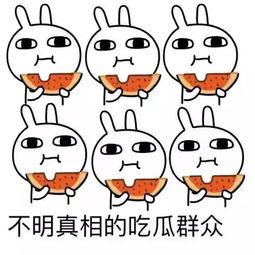 吃瓜的心情,品味生活，畅享瓜界盛宴