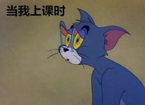 吃瓜的心情,品味生活，畅享瓜界盛宴