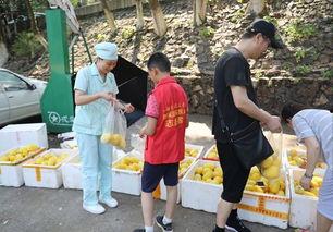 醴陵吃瓜群众,吃瓜群众的欢乐盛宴