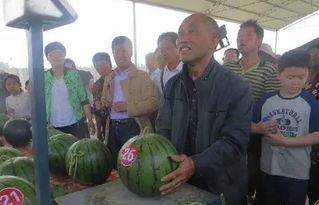 醴陵吃瓜群众,吃瓜群众的欢乐盛宴