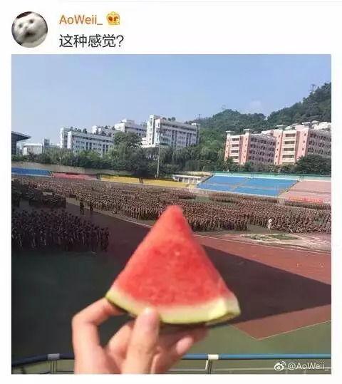 吃瓜学姐学院,校园风云录