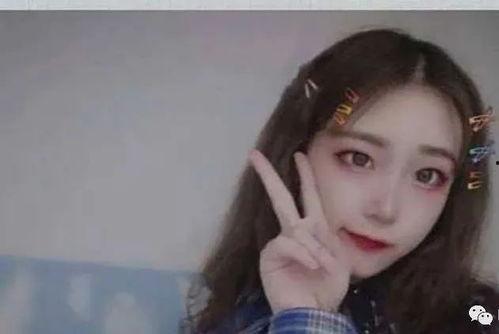 吃瓜学姐学院,校园风云录