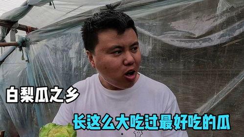 吃瓜找大哥,谁是隐藏在幕后的大哥？