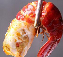 吃瓜可以吃虾尾吗