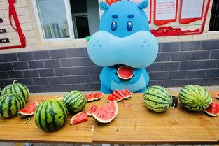 锦鲤女孩吃瓜,一场美食与命运的邂逅