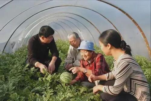 乡下吃瓜老奶奶