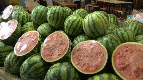 瓜现在可以吃吗,现在正是品尝美味瓜果的最佳时节