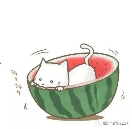 qq免费吃瓜 图片,共享网络盛宴，畅享趣味时光