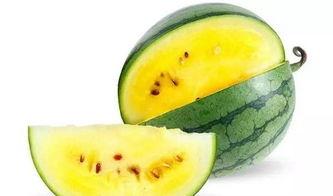 古茗吃瓜地点,揭秘网红打卡地的魅力所在