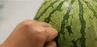 吃瓜与学习区别,揭秘两种生活方式的优劣