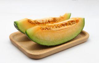 吃哈密瓜可以吃龙虾吗,美味搭配的禁忌与建议