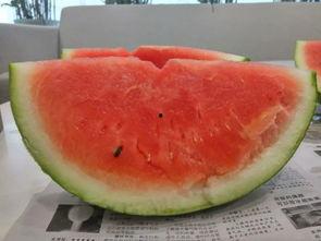 糖小妹夏天吃瓜,甜蜜消暑新体验