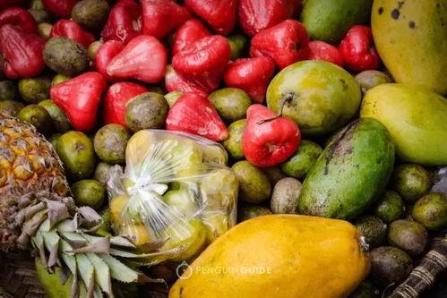 邮电路吃瓜,繁华都市中的瓜田盛宴