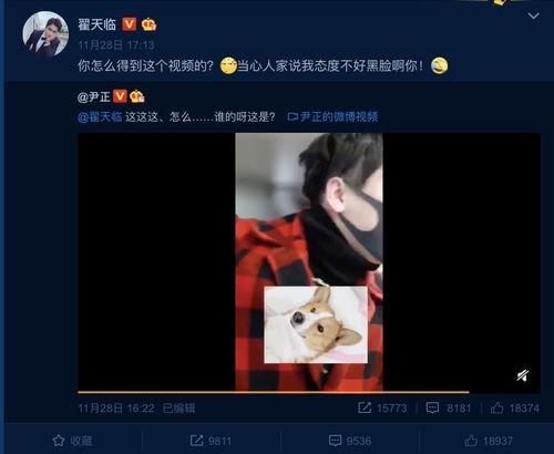 评论炸裂吃瓜,网友热议，揭秘网络评论背后的狂欢