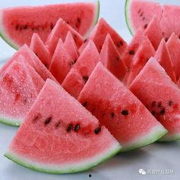 最佳吃瓜是啥意思,网络热词背后的趣味与智慧