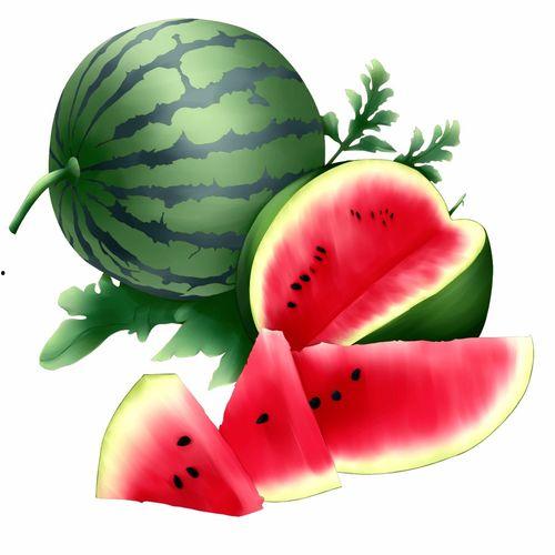 吃瓜礼,揭秘娱乐圈的“瓜田”文化