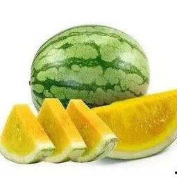 黄心瓜可以吃吗,美味可口的健康食材，你了解多少？